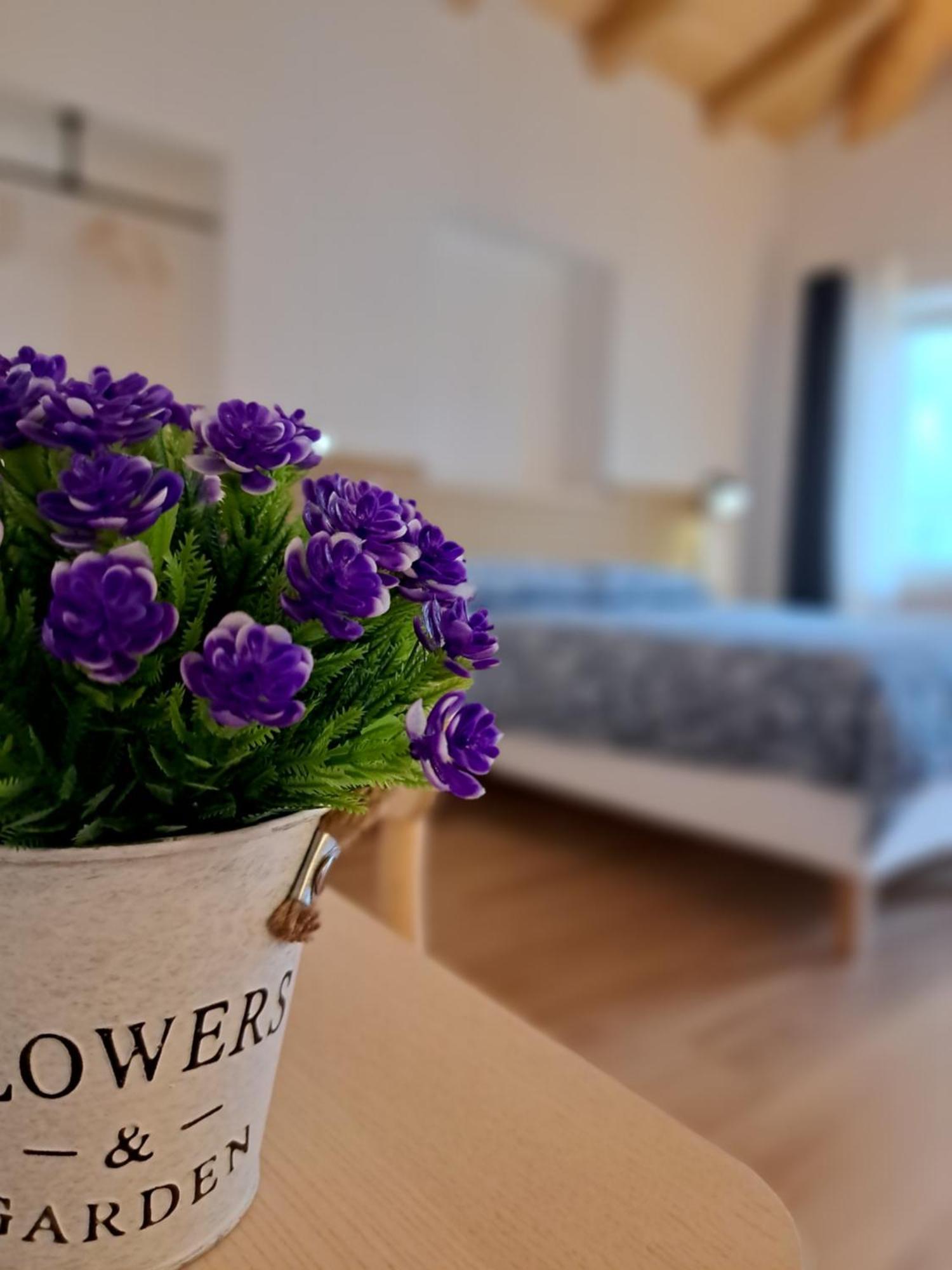 B&B Il Cortile Soriso Екстер'єр фото